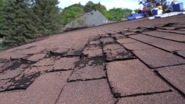 Asphalt Shingles Roofing in Shippensburg University, PA